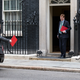 Illustration for article titled A Question About Brexit: Does 10 Downing Street Get to Keep Larry the Cat?